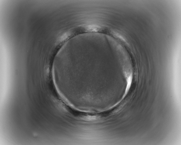 X0000084560314200703161709