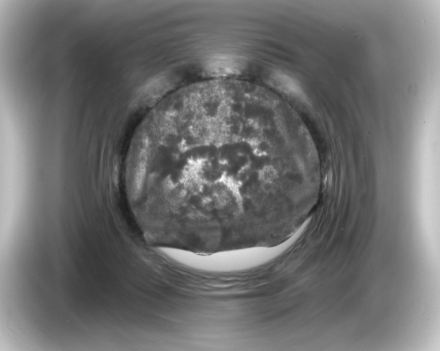 X0000084560315200703161709