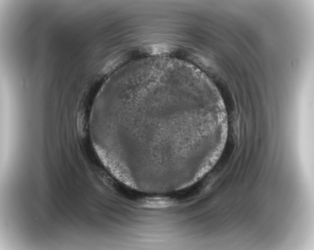 X0000084560316200703161709