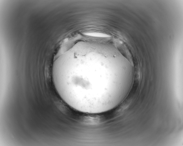 X0000084560317200703161709