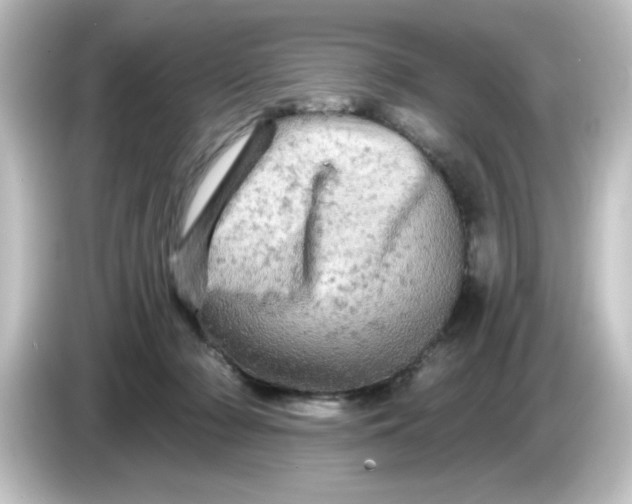 X0000084560318200703161709