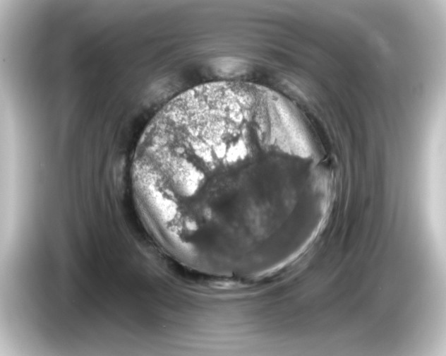 X0000084560319200703161709