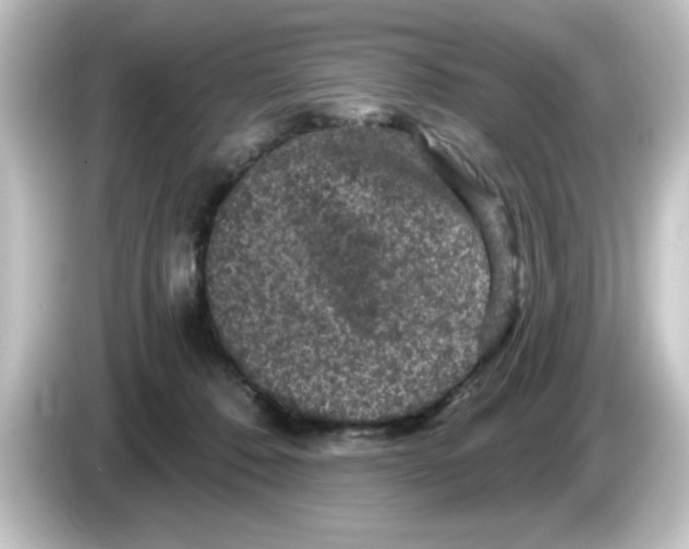 X0000084560320200703161709