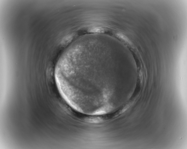 X0000084560322200703161709