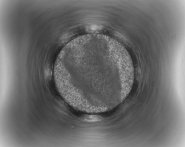 X0000084560324200703161709