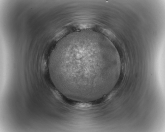 X0000084560327200703161709