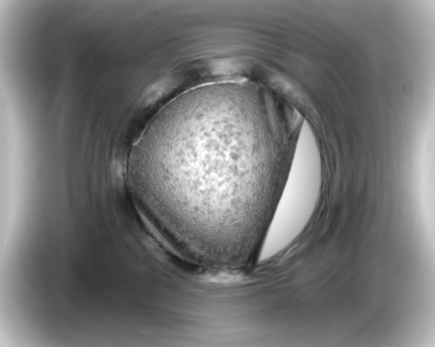 X0000084560329200703161709