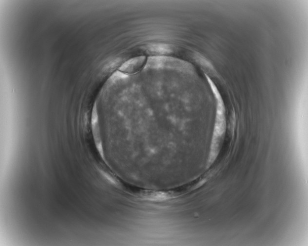 X0000084560330200703161709