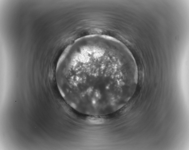 X0000084560331200703161709