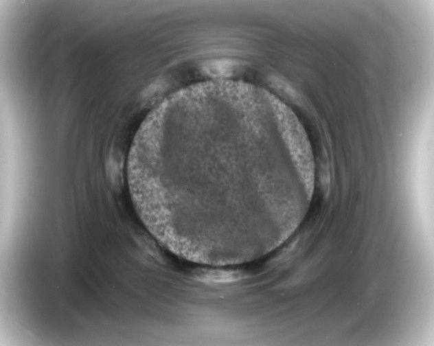 X0000084560332200703161709