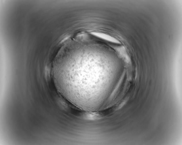 X0000084560333200703161709