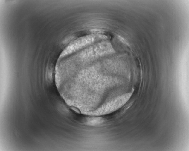 X0000084560334200703161709