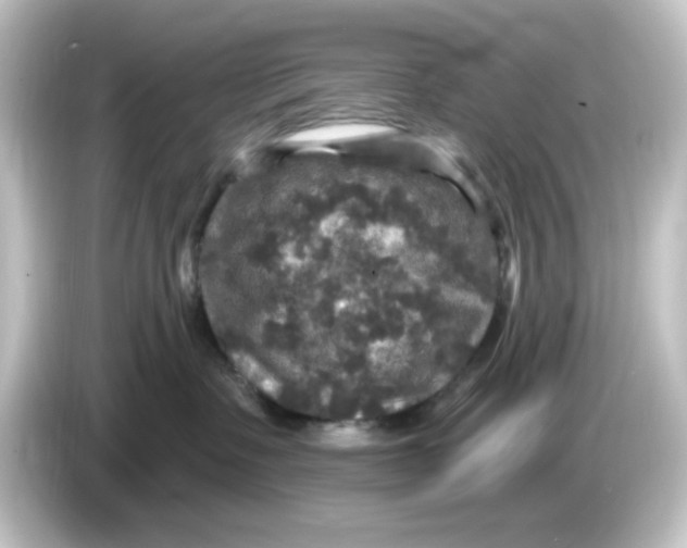 X0000084560335200703161709