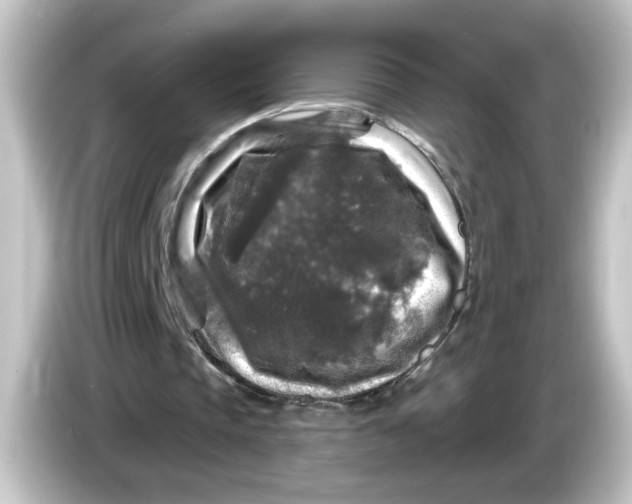 X0000084560337200703161708