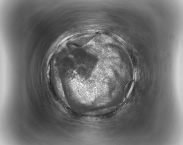 X0000084560339200703161708