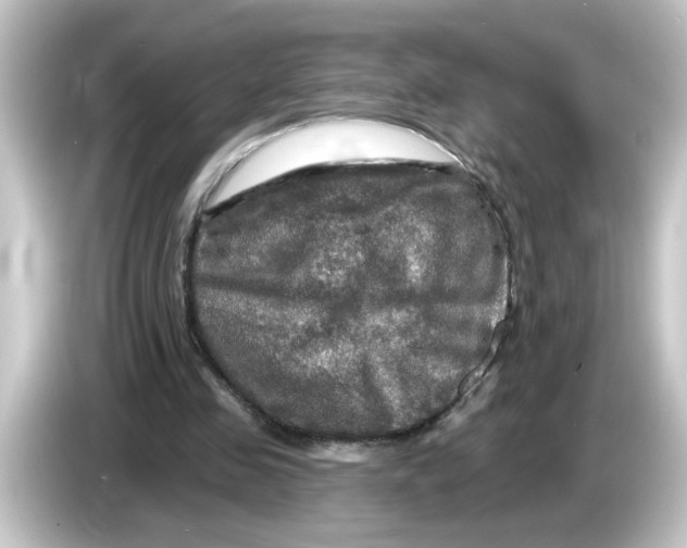 X0000084560341200703161708