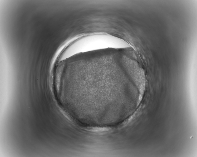 X0000084560342200703161708