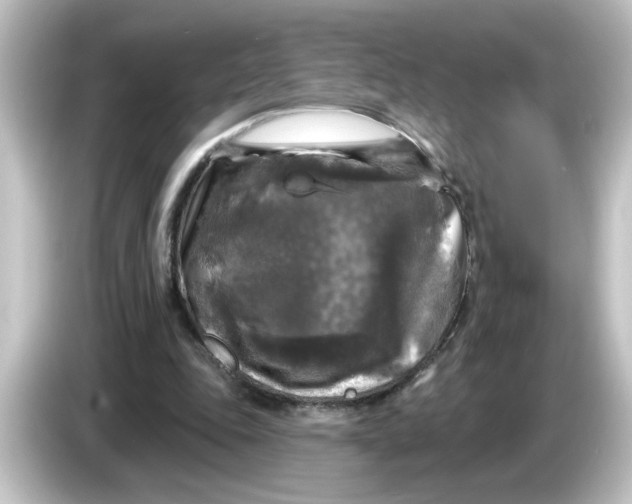 X0000084560343200703161708