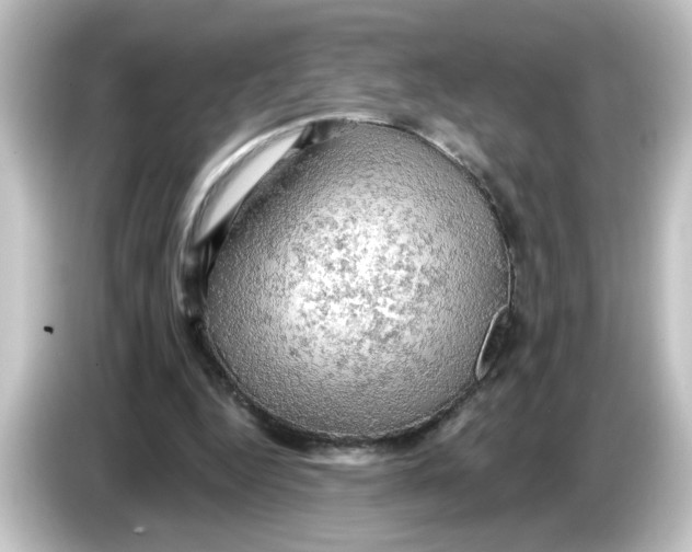 X0000084560344200703161708