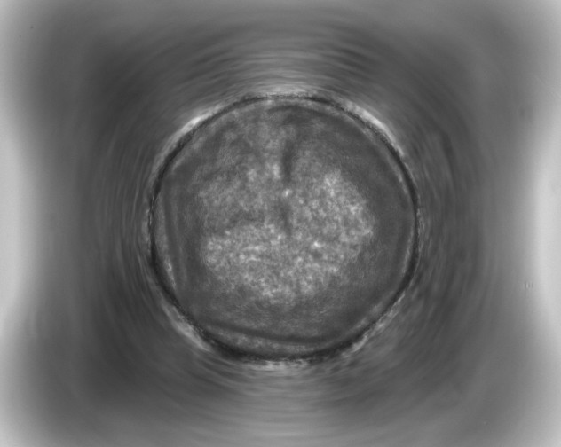 X0000084560345200703161708