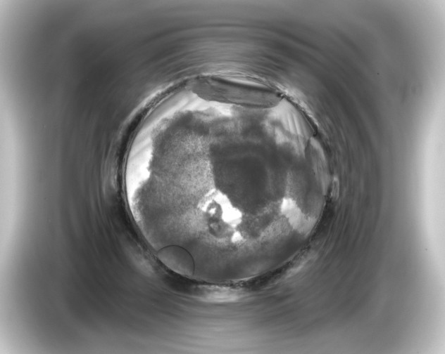 X0000084560347200703161708