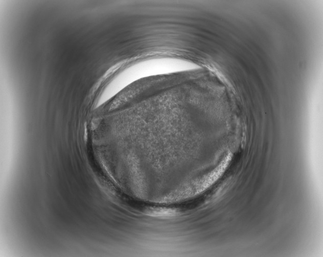 X0000084560348200703161708