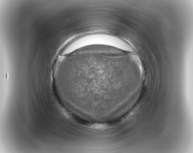 X0000084560350200703161708