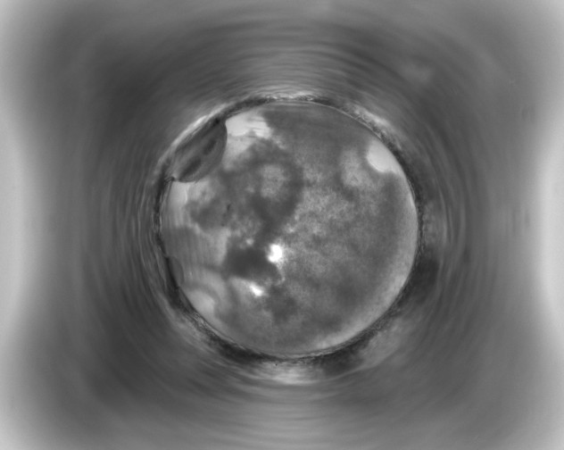 X0000084560351200703161708