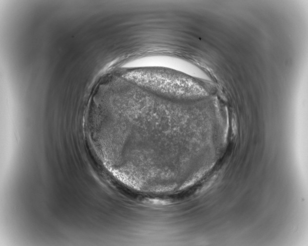 X0000084560352200703161708