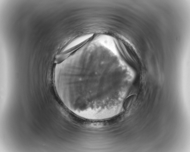 X0000084560353200703161708