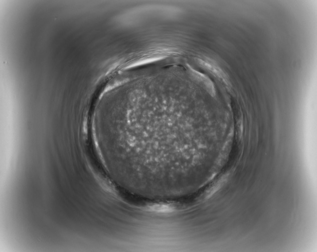 X0000084560358200703161708