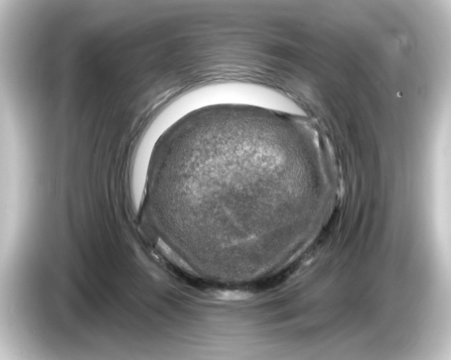 X0000084560360200703161708