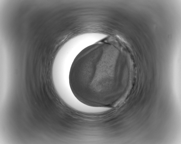 X0000084560362200703161708