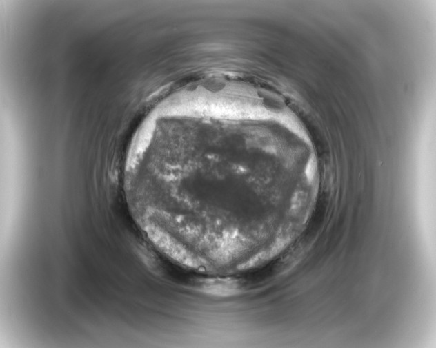 X0000084560363200703161708