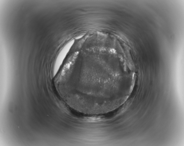 X0000084560366200703161708