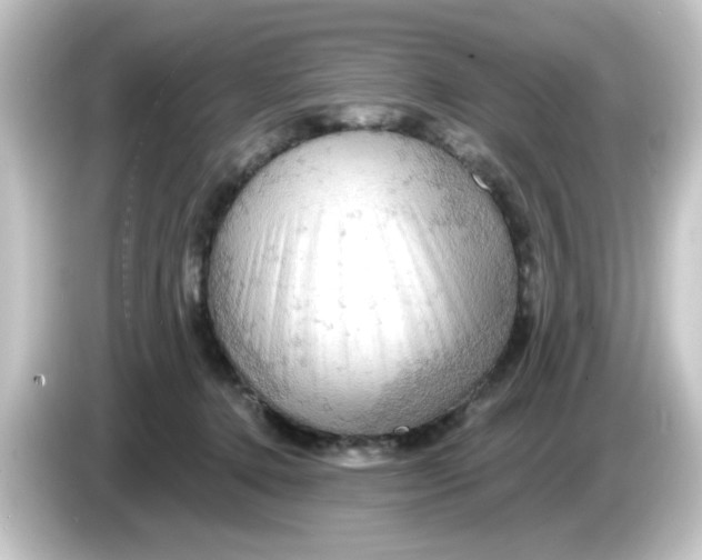 X0000084560368200703161708