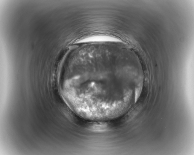 X0000084560369200703161708