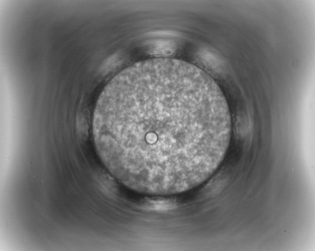 X0000084560370200703161708