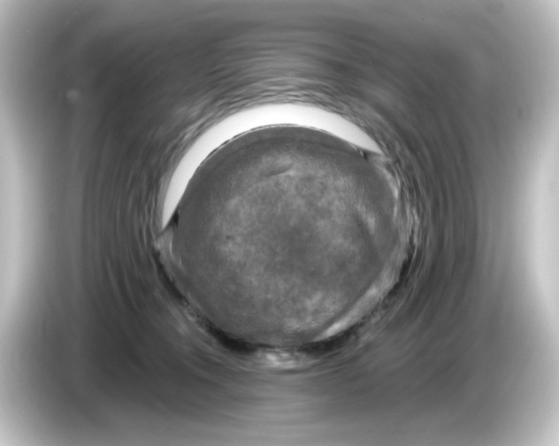 X0000084560372200703161708