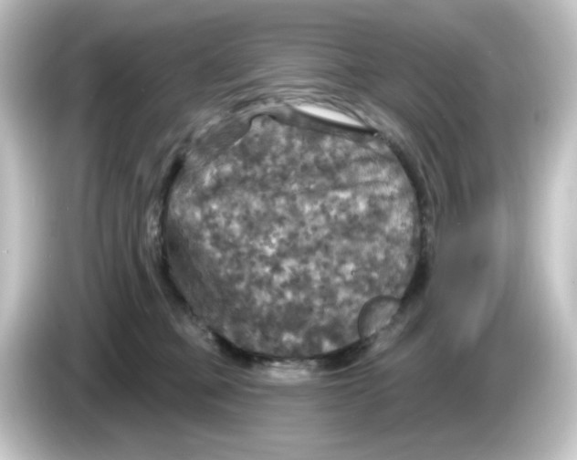 X0000084560373200703161708