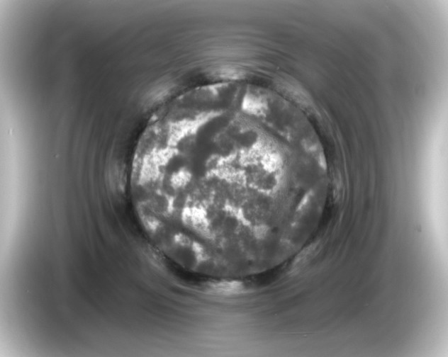 X0000084560374200703161708