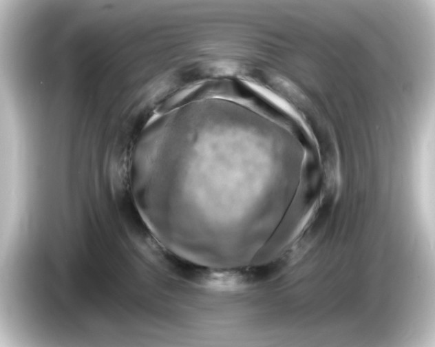 X0000084560376200703161708