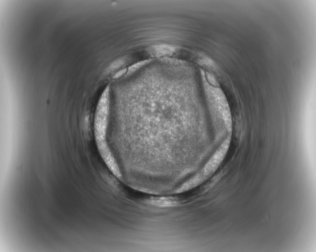 X0000084560378200703161708