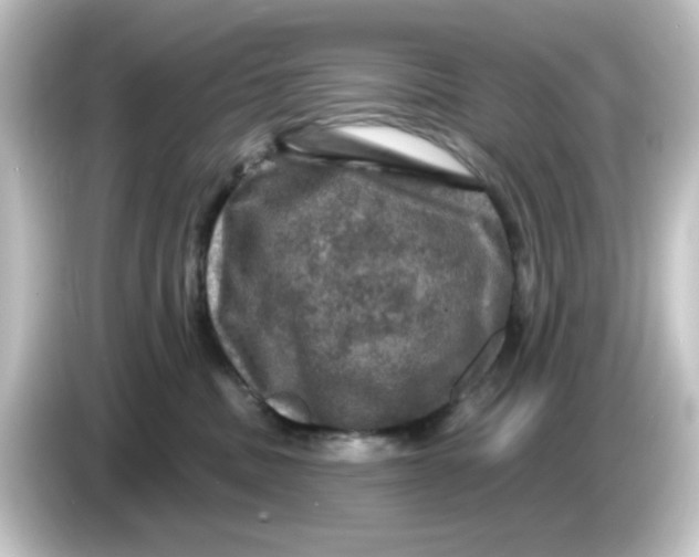 X0000084560379200703161708