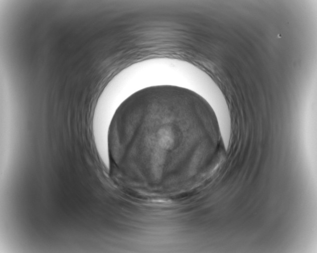 X0000084560380200703161708