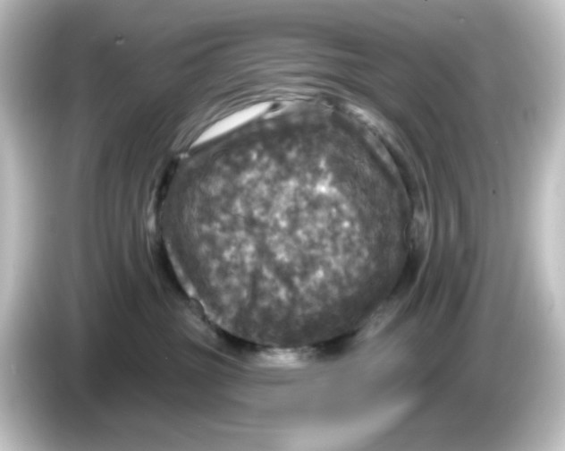 X0000084560381200703161709