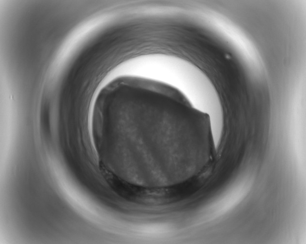 X0000084560382200703161709