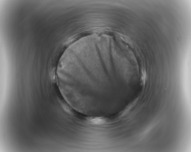 X0000084560383200703161709