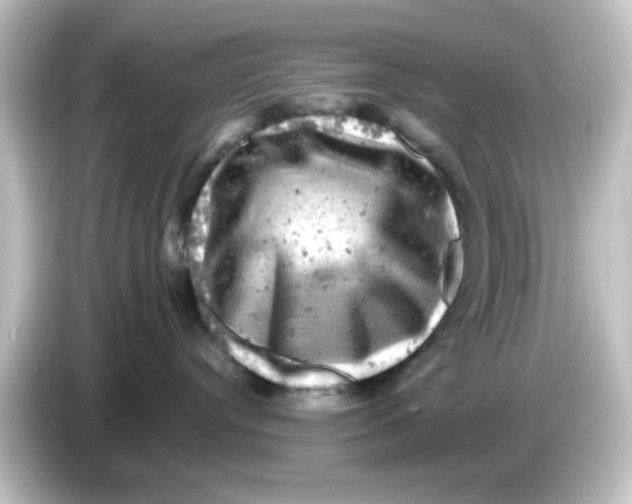 X0000084560384200703161709