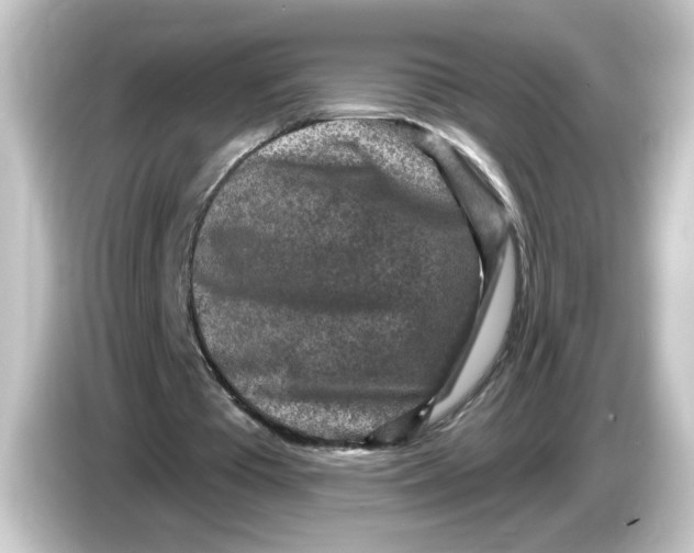 X0000084560385200703161708